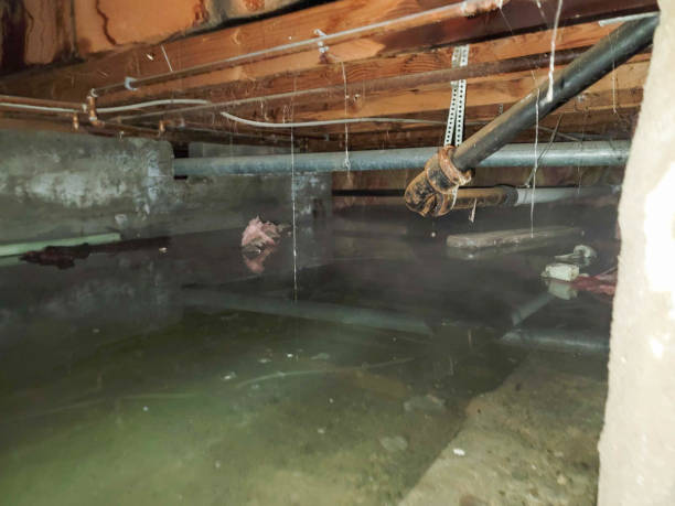 Best Water damage restoration near me  in Duluth, MN