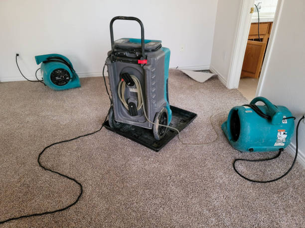 Best Water damage repair service  in Duluth, MN