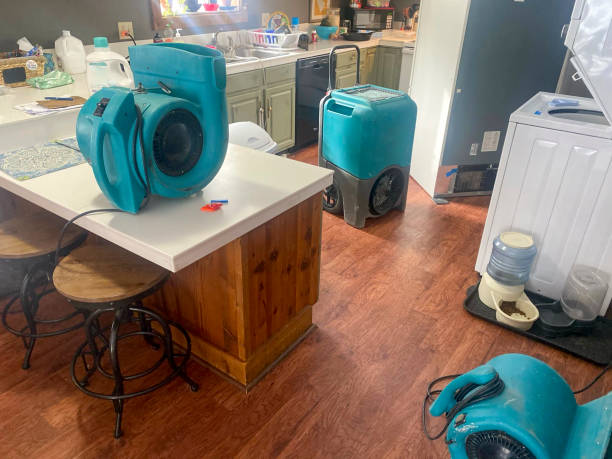 Best Ceiling water damage repair  in Duluth, MN
