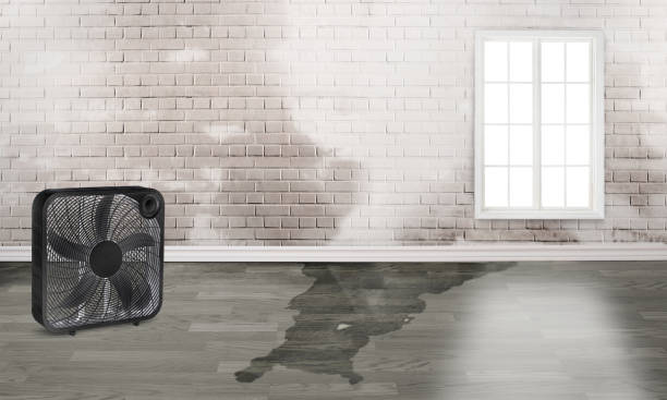 Best Water damage restoration insurance claims  in Duluth, MN