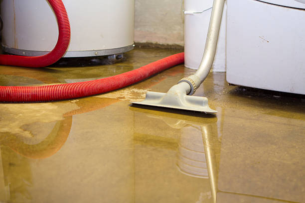 Best Sewage cleanup and water damage restoration  in Duluth, MN