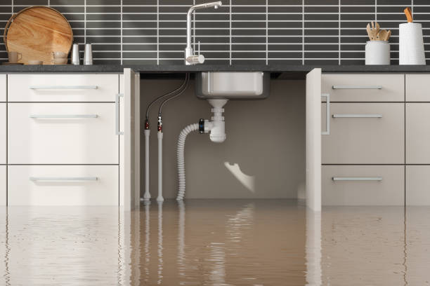 Best Sewage cleanup and water damage restoration  in Duluth, MN