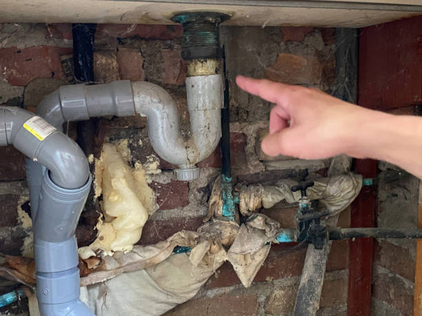 Best Flood damage cleanup  in Duluth, MN
