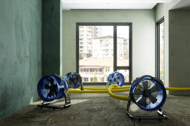 Water damage restoration experts in Duluth, MN