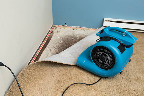 Best Local water damage restoration  in Duluth, MN